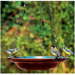 Easy Steps To Clean A Bird Bath